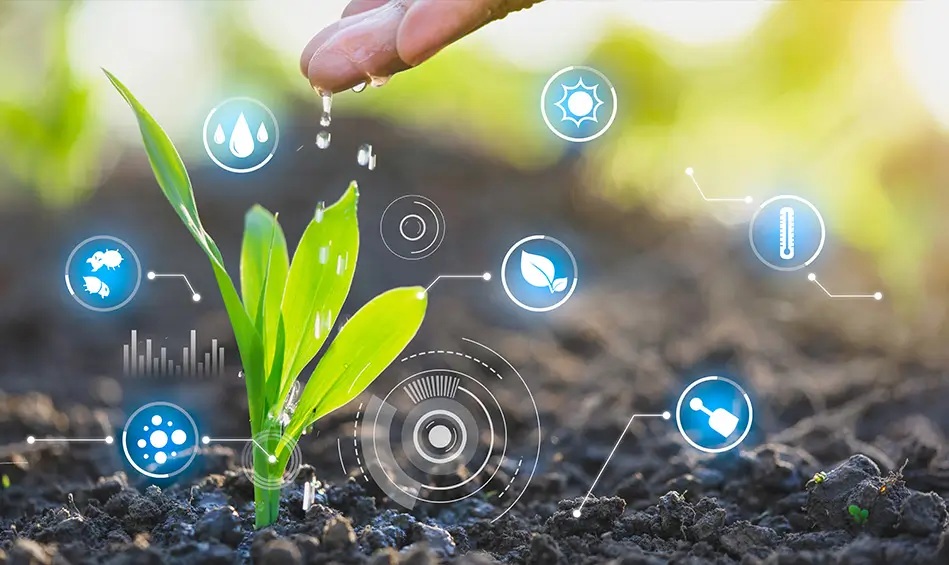 Živiny v trávnikových hnojivách a ich vplyv na rast trávnika